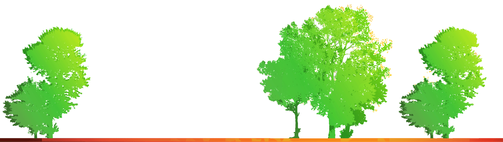 trees