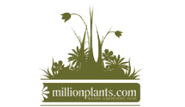 Million Plants